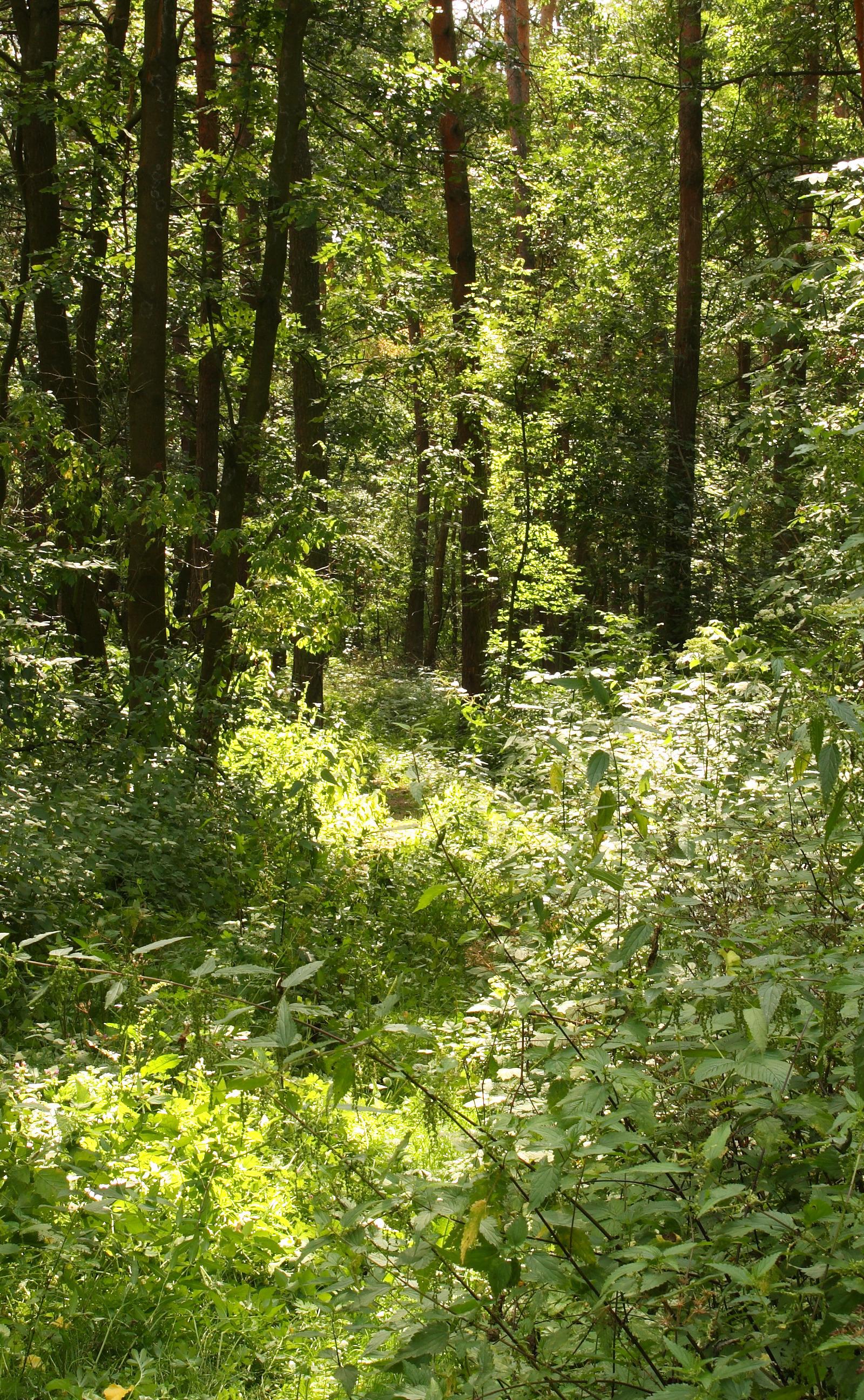 Stockholm Pursues Climate-Positive Future Through Ethical Green Technology